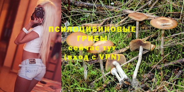 эйфоретик Сафоново