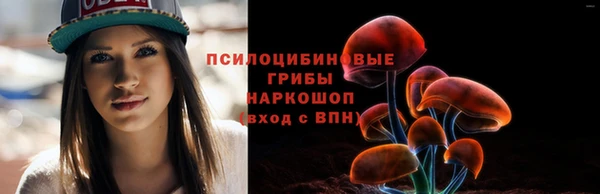 эйфоретик Сатка