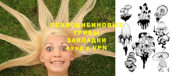 эйфоретик Сафоново