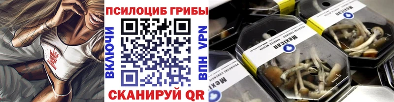 Псилоцибиновые грибы мухоморы Севск